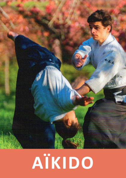 aikido
