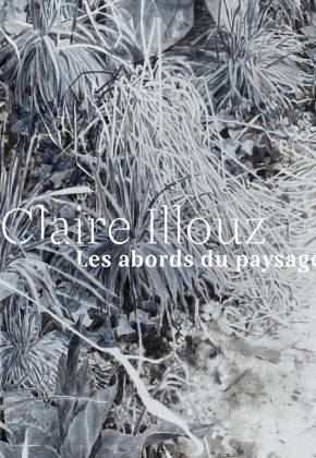 Catalogue exposition Claire Illouz. Les abords du paysage