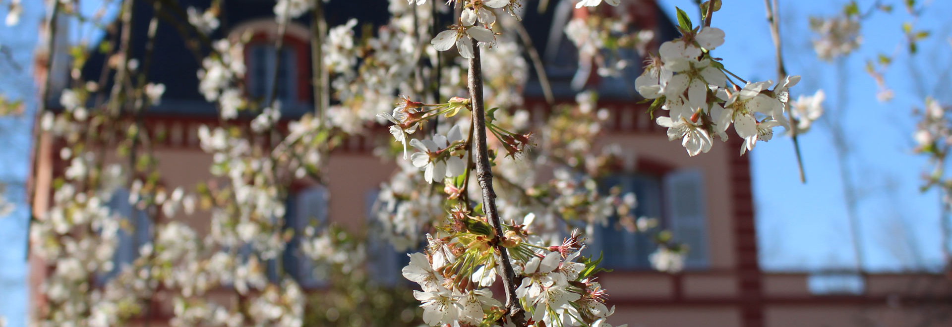 bandeau_printemps_2026