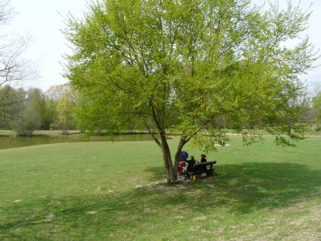 Réouverture des parcs et jardins