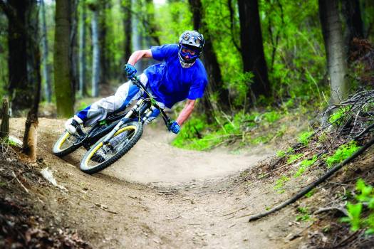 ONF : Le free-ride interdit en forêt