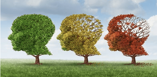 Conférence Elan santé : prévenir des déclins cognitifs