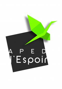 le logo est composé du carré, représentant la feuille de papier non pliée, et de l'oiseau, représentant ainsi deux états différents d'un même élément et évoquant sa transformation. Un signe fort, l'oiseau en origami, évocateur de perspectives, de nouveaux horizons...