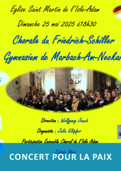 Concert pour la Paix