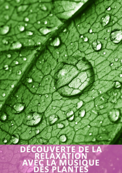 découverte de la relexation