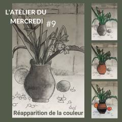 Atelier réapparition de la couleur