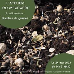 L'Atelier du mercredi - Bombes de graines