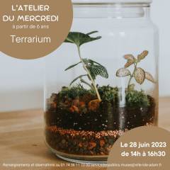 L'Atelier du mercredi - Terrarium