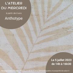 L'Atelier du mercredi : anthotype