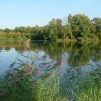 étang de la garenne étang de la garenne