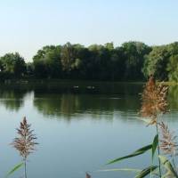 étang des vergers étang des vergers