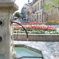 fleurs centre ville fleurs centre ville