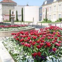 fleurs centre ville fleurs centre ville