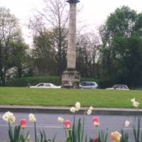 jacinthes et tulipes jacinthes et tulipes