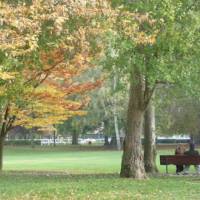 parc manchez parc manchez