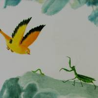 Oiseau en vol Oiseau en vol