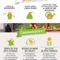 interdiction pesticides interdiction pesticides