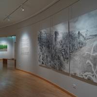 Claire Illouz. Les abords du paysage. image 2 Exposition Claire Illouz. Les abords du paysage