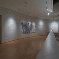 Claire Illouz. Les abords du paysage. image 1 Exposition Claire Illouz. Les abords du paysage