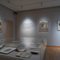 Claire Illouz. Les abords du paysage. image 6 Exposition Claire Illouz. Les abords du paysage