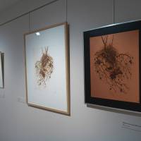 Claire Illouz. Les abords du paysage. image 9 Exposition Claire Illouz. Les abords du paysage