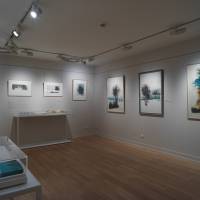 Claire Illouz. Les abords du paysage. image 7 Exposition Claire Illouz. Les abords du paysage