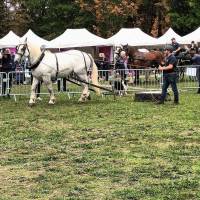 Fête de la campagne Fête de la campagne