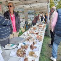 Fête de la campagne Fête de la campagne