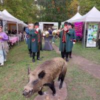 Fête de la campagne Fête de la campagne