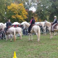 Fête de la campagne Fête de la campagne
