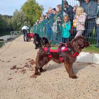 Fête de la campagne Fête de la campagne