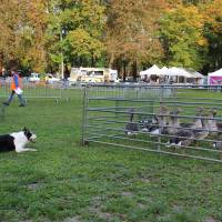 Fête de la campagne Fête de la campagne