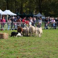 Fête de la campagne Fête de la campagne