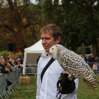 Fête de la campagne Fête de la campagne
