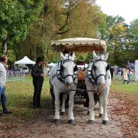 Fête de la campagne Fête de la campagne