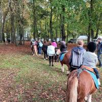 Fête de la campagne Fête de la campagne