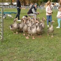 Fête de la campagne Fête de la campagne