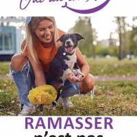 Plan de lutte contre les incivilités Plan de lutte contre les incivilités