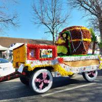 25ème Carnaval de L'Isle-Adam 25ème Carnaval de L'Isle-Adam
