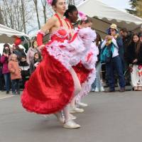 25ème Carnaval de L'Isle-Adam 25ème Carnaval de L'Isle-Adam