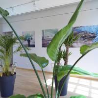 Emprunt lointain salle 4 Emprunt lointain salle 4