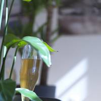 Emprunt lointain détail 1 Emprunt lointain détail 1