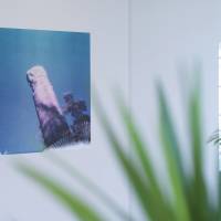 Emprunt lointain détail 2 Emprunt lointain détail 2