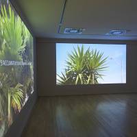 Emprunt lointain salle 5 Emprunt lointain salle 5