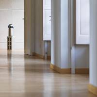 Emprunt lointain détail 6 Emprunt lointain détail 6