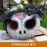 Citrouille n°2 Citrouille n°2