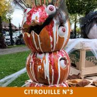 Citrouille n°3 Citrouille n°3