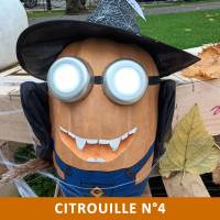 Citrouille n°4 Citrouille n°4