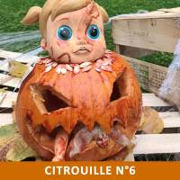 Citrouille n°6 Citrouille n°6