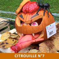 Citrouille n°7 Citrouille n°7